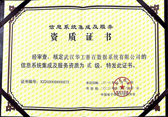 以數為翼，智聯未來——我們的信息系統集成服務